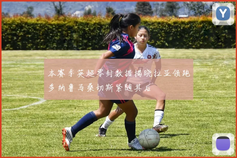 本赛季英超零封数据揭晓拉亚领跑多纳鲁马桑切斯紧随其后